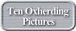 Ten Oxherding Pictures